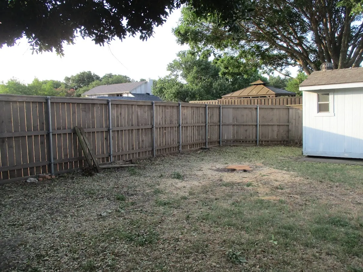 Cleared yard after professional tree removal in Zionsville
